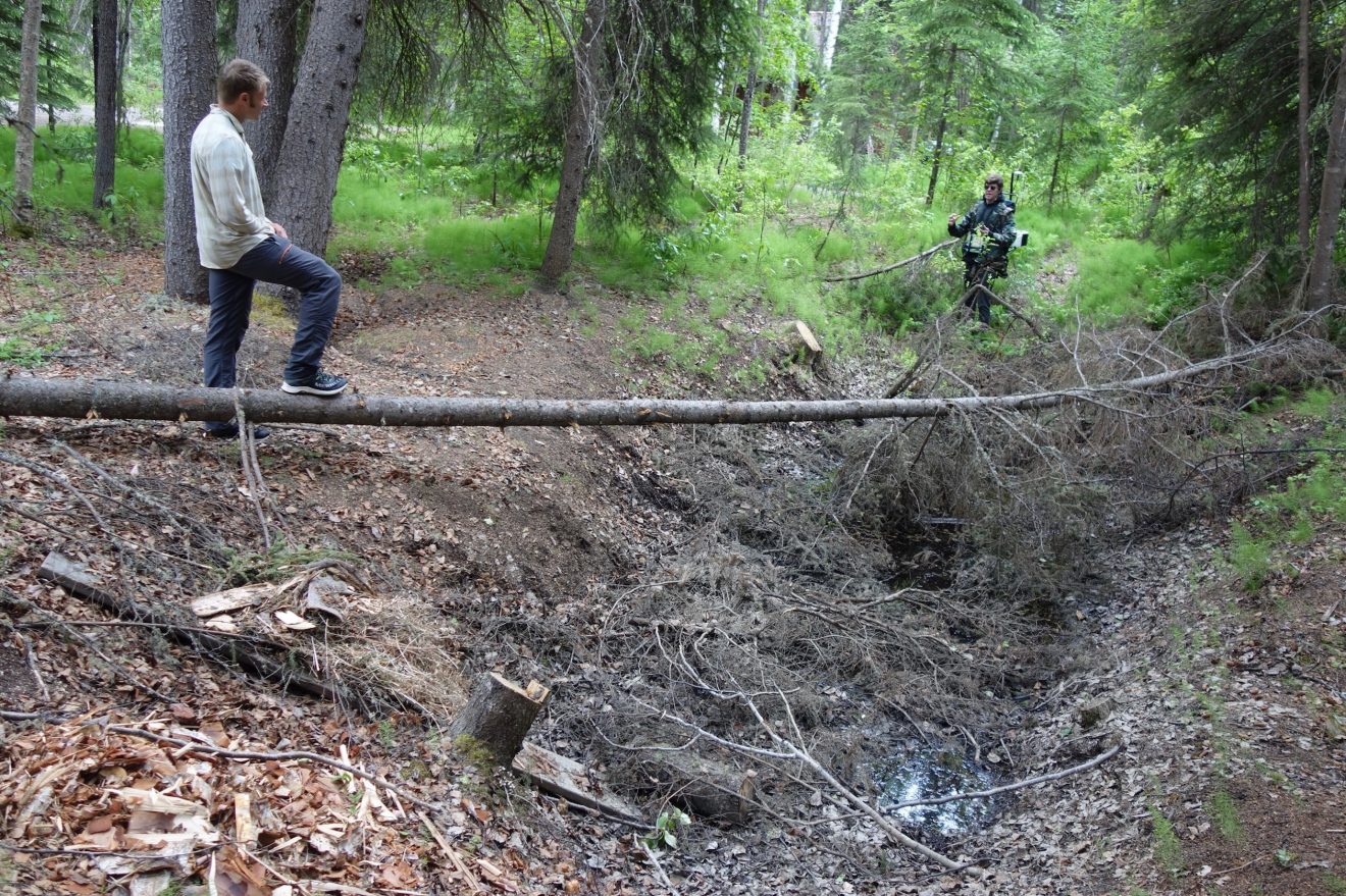 Two people standing near a trench in a forest