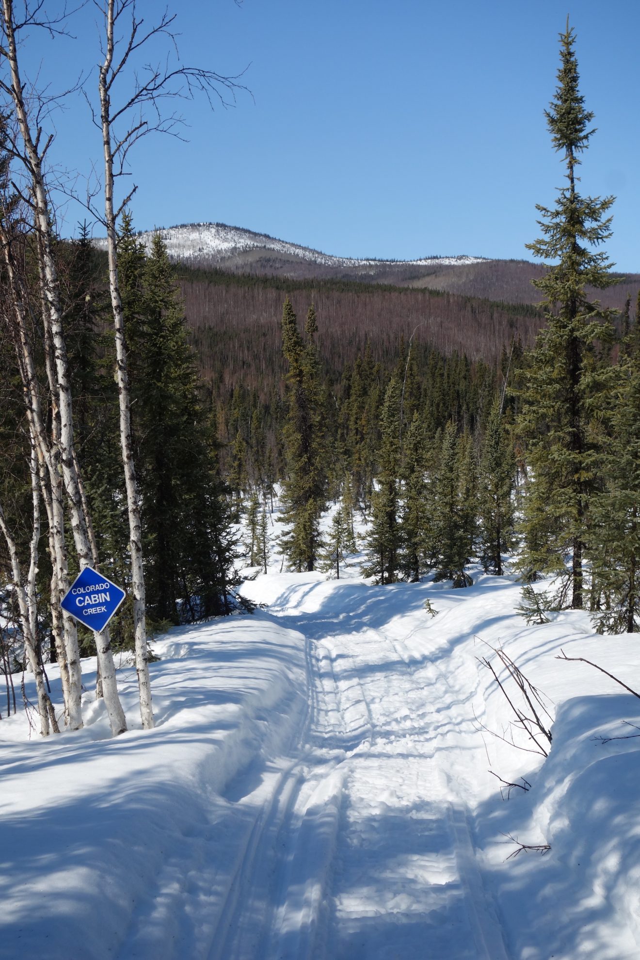Spring arrives on final cabin trip