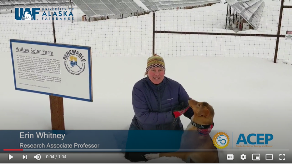 Screen shot of a woman on a video. She is kneeling in the snow with a dog near a sign that says "Willow Solar Farm"