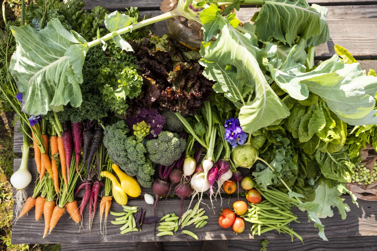 Still life of greens, root vegetables, onions, cruciferous vegetables, peas and carrots