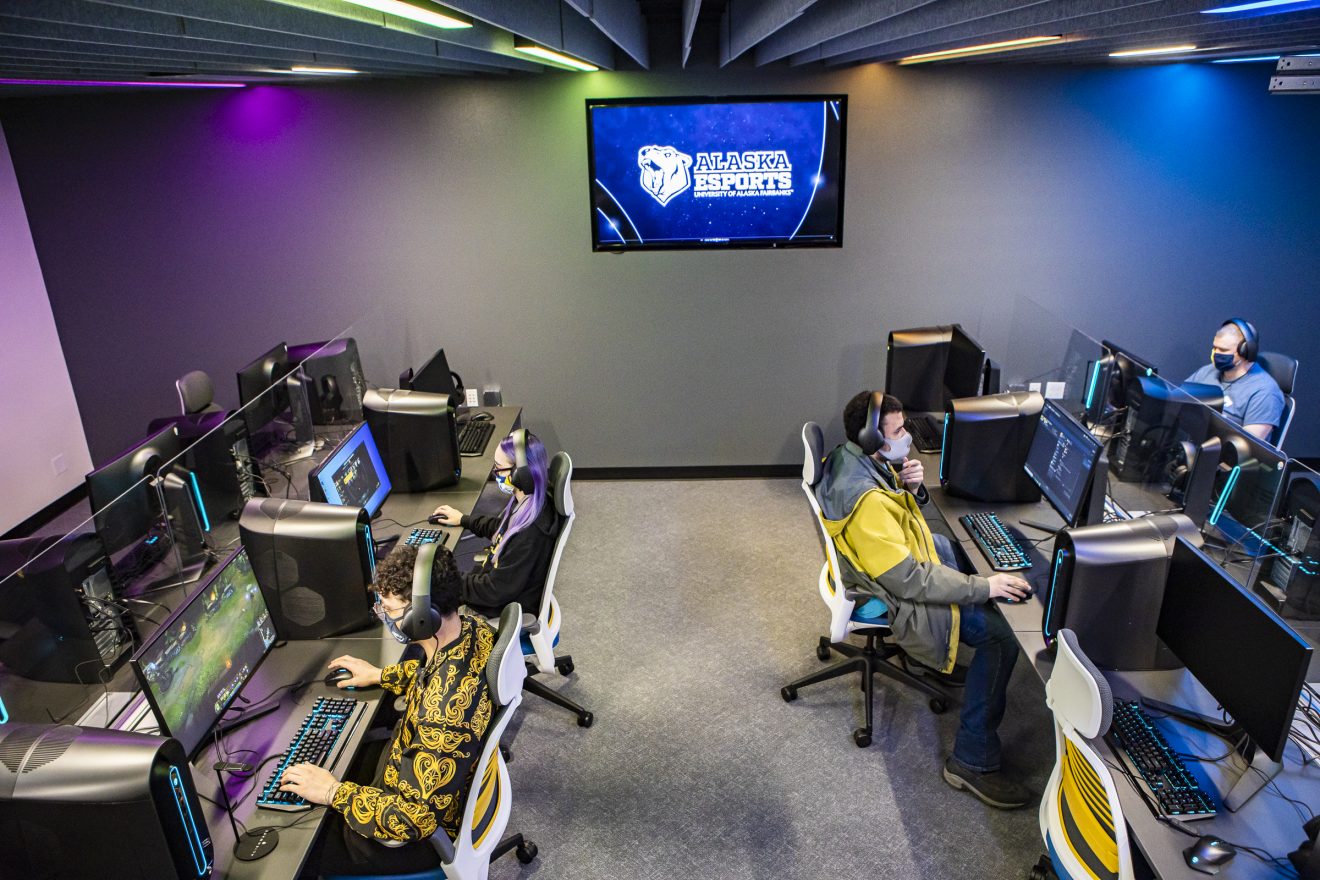 Two rows of computer stations with people working at them.