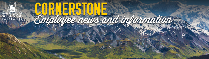 Alaska mountain range