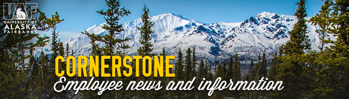 Alaska mountain range