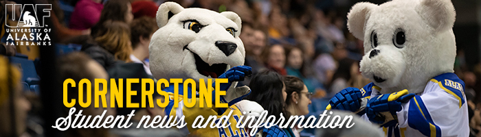 Nanook and baby Nanook at a game.