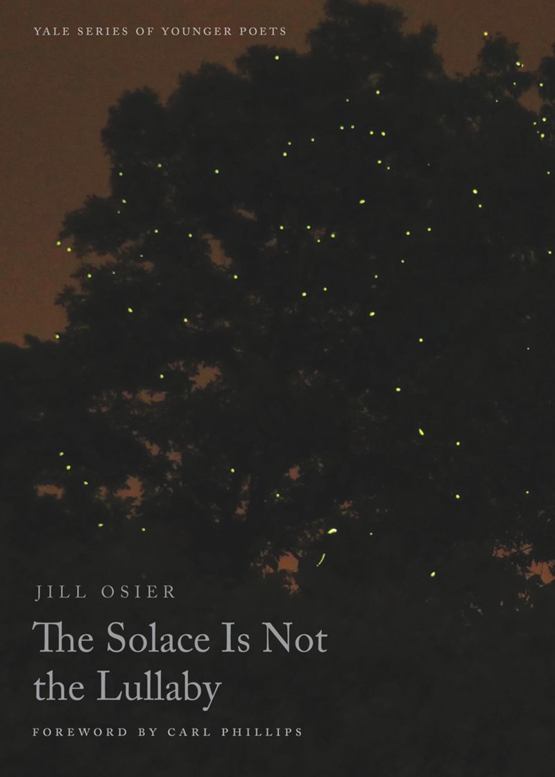 Book cover for Jill Osier's The Solace is Not the Lullaby. a dark tree is silhoutted against a dark night, with little yellow bulbs outlining the tree.