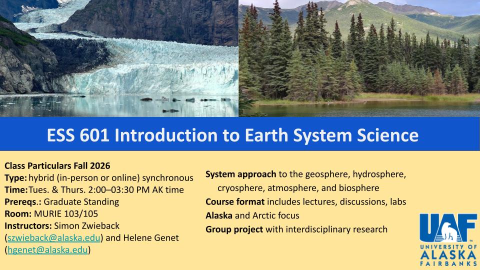 flyer image