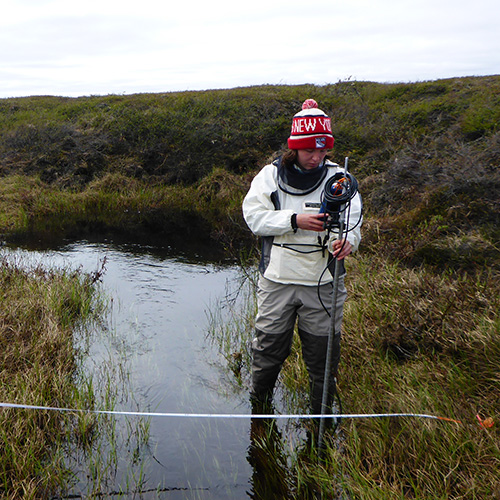 Research student standing in a wetland