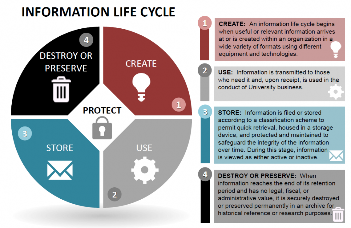 Information Management graphic