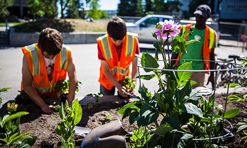 After a late start in the season, UAF Facilities Services grounds crew plant flowers around campus. UAF photo by JR Ancheta.