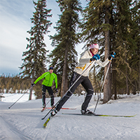 Two people skiing on the trails