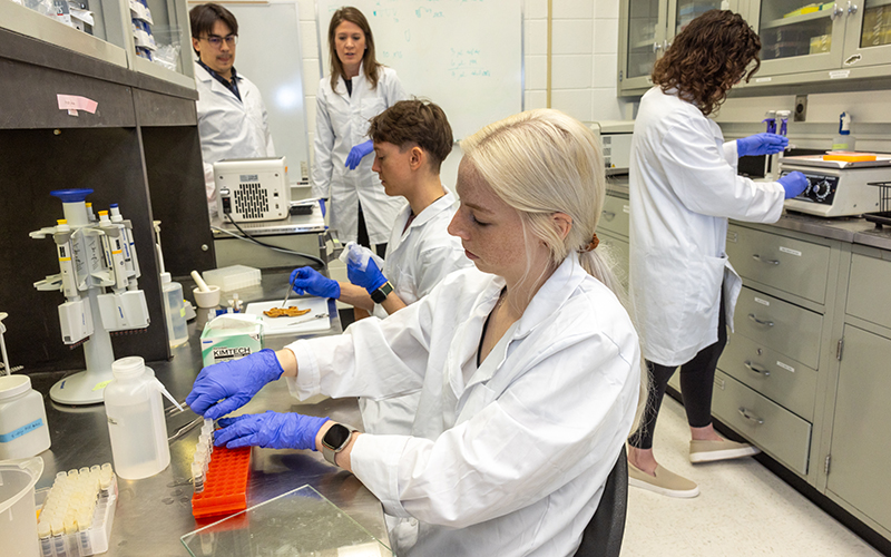 See caption below image for image description.