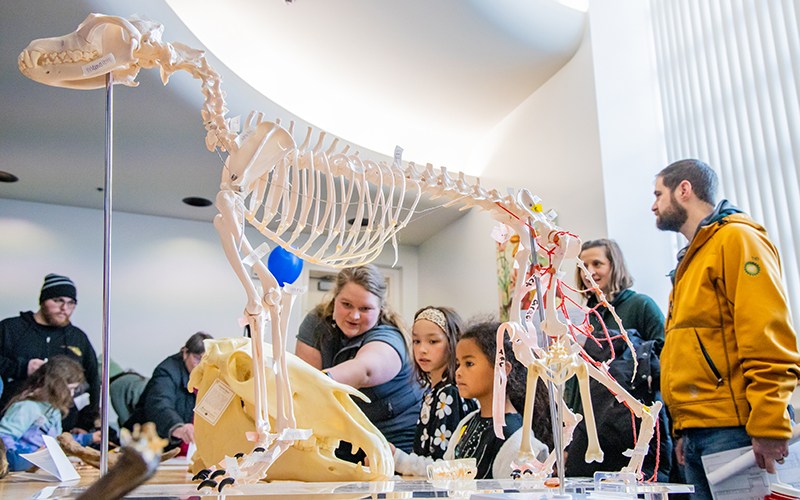 See caption below image for image description.