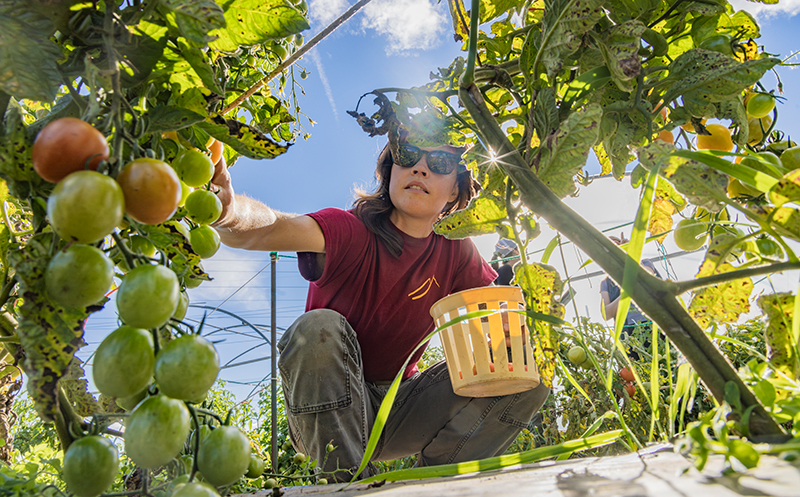 See caption below image for image description.