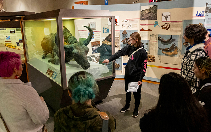 See caption below image for image description.