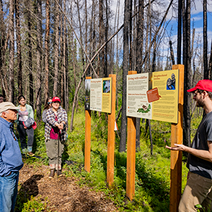 The Alaska Fire Science Consortium lead Fairbanks community and fire science affiliates in a guided tour for the grand opening of the Yankovich Wildfire Trail. UAF photo by Leif Van Cise.