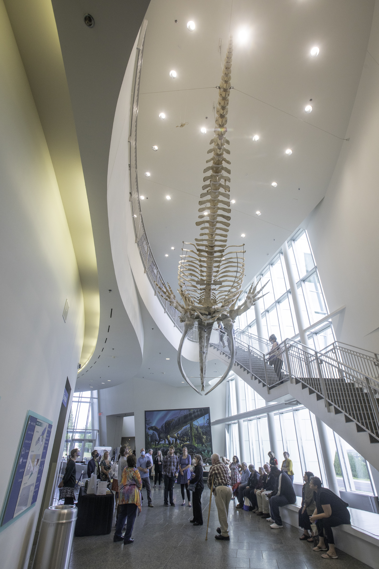 See image caption and credit below the image.