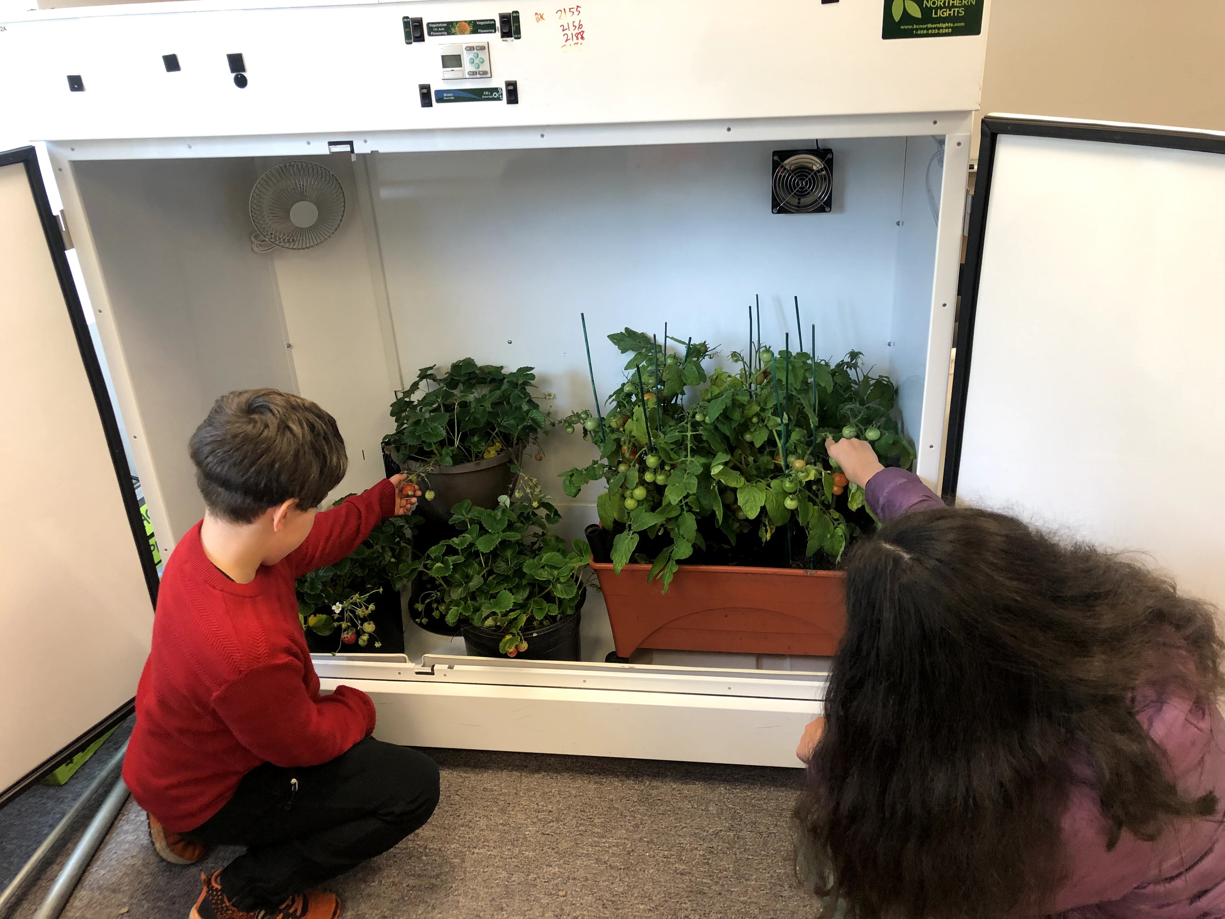 As of July 2021, 34 donated Grow Boxes have been sent throughout the State by Extension agent, Darren Snyder, to support research, education and outreach efforts by schools, non-profits, Native Alaskan organizations, youth programs, private innovators and the University of Alaska