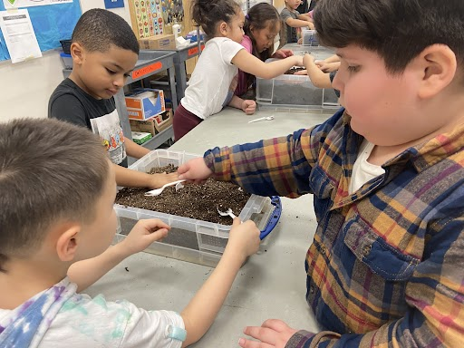 Read caption and credit below image for description