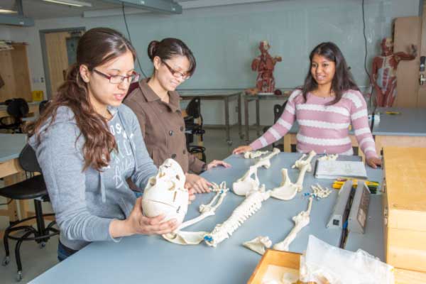 UAF students work with teaching assistant Sophie Chowdhury during their anatomy and physiology lab