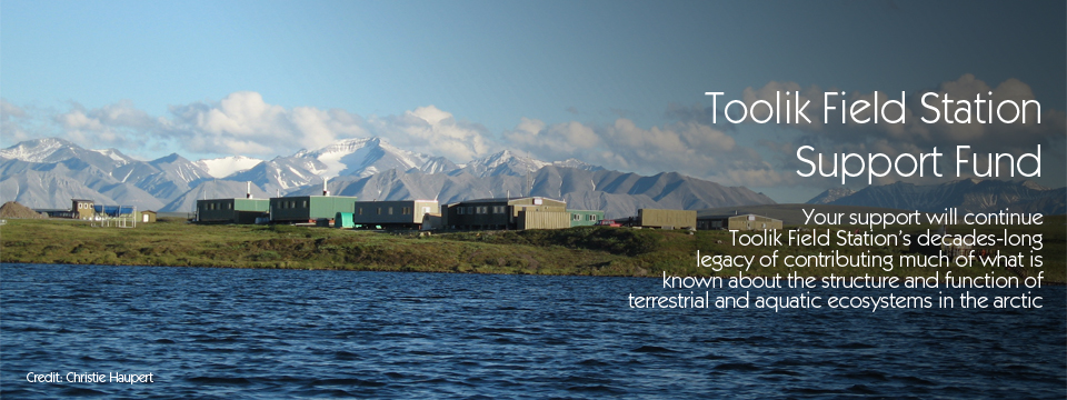 Give to the Toolik Field Station Support Fund