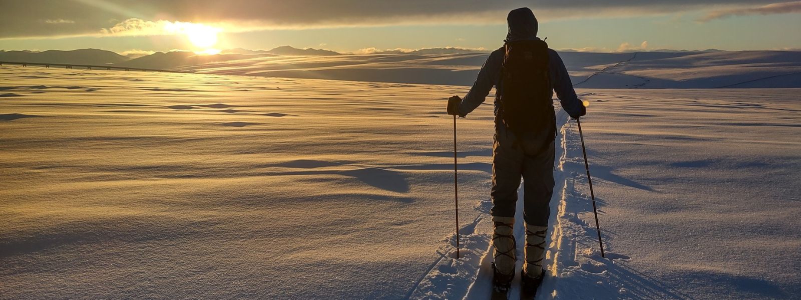 Toolik Field Station