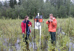 Bonanza Creek LTER Research