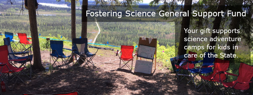 Give to the Fostering Science General Support Fund