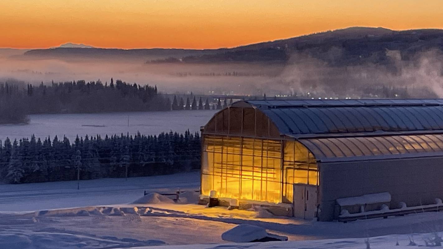 IAB Greenhouse at sunset, New Year's Eve 2025