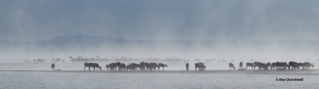 Alaska Cooperative Fish and Wildlife Research Unit