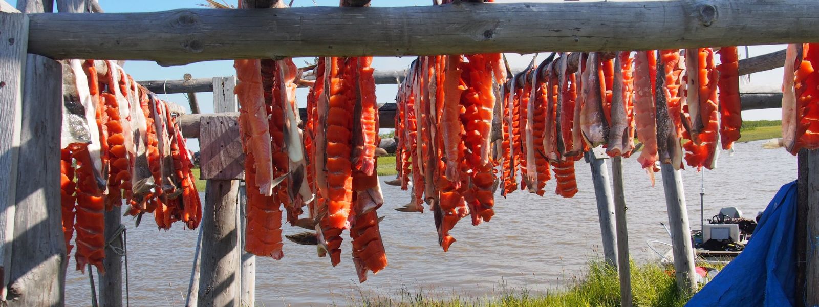 Center for Alaska Native Health Research