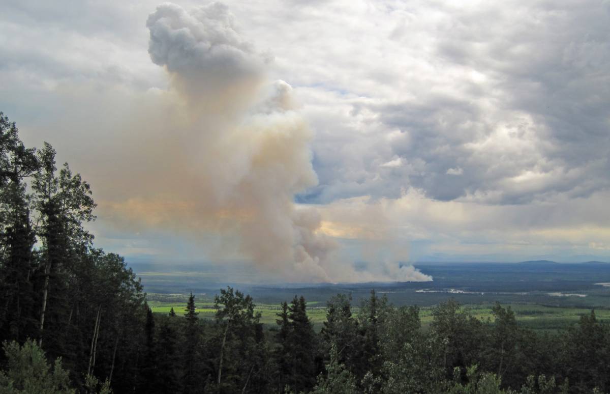 Bonanza Creek fire