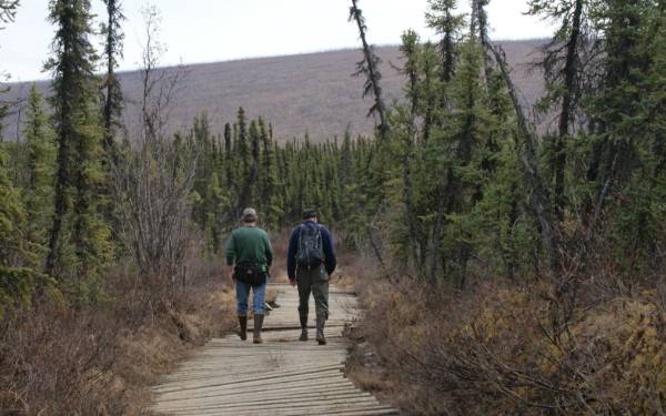Walking the boardwalk in Bonanza Creek LTER
