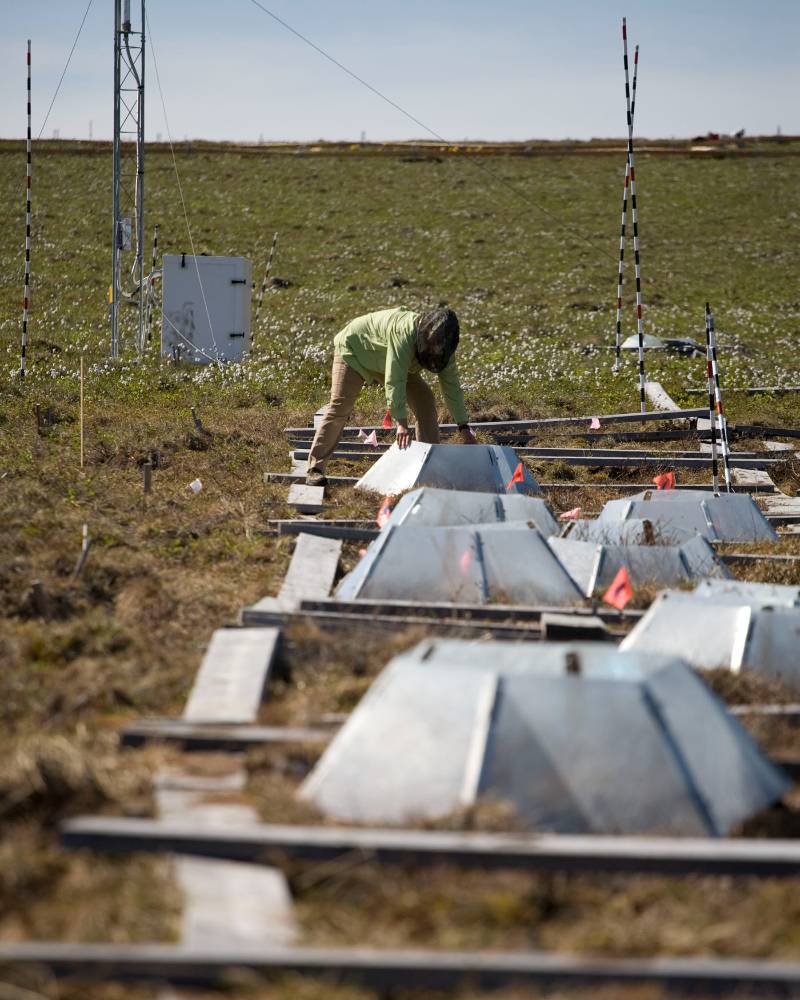 Laying out research plots at Toolik Field Station.