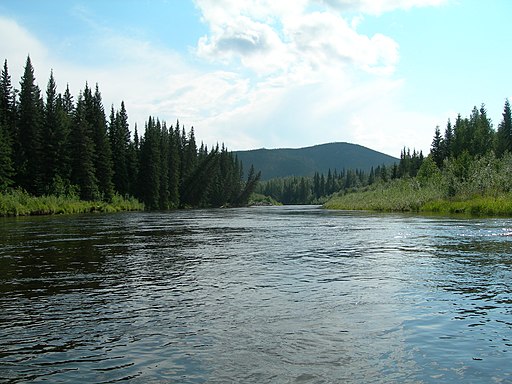 The Chena River, image shot from the river looking downstream. The banks are lined with spruce and birch trees