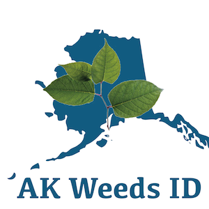 AK Weeds ID app icon