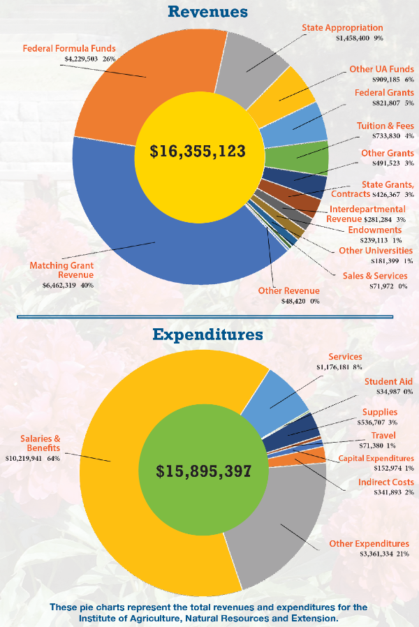 IANRE revenue and expenditures