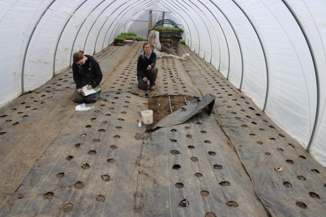 two women in a high tunnel next to a soil pit