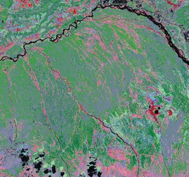 Data for Alaska forests