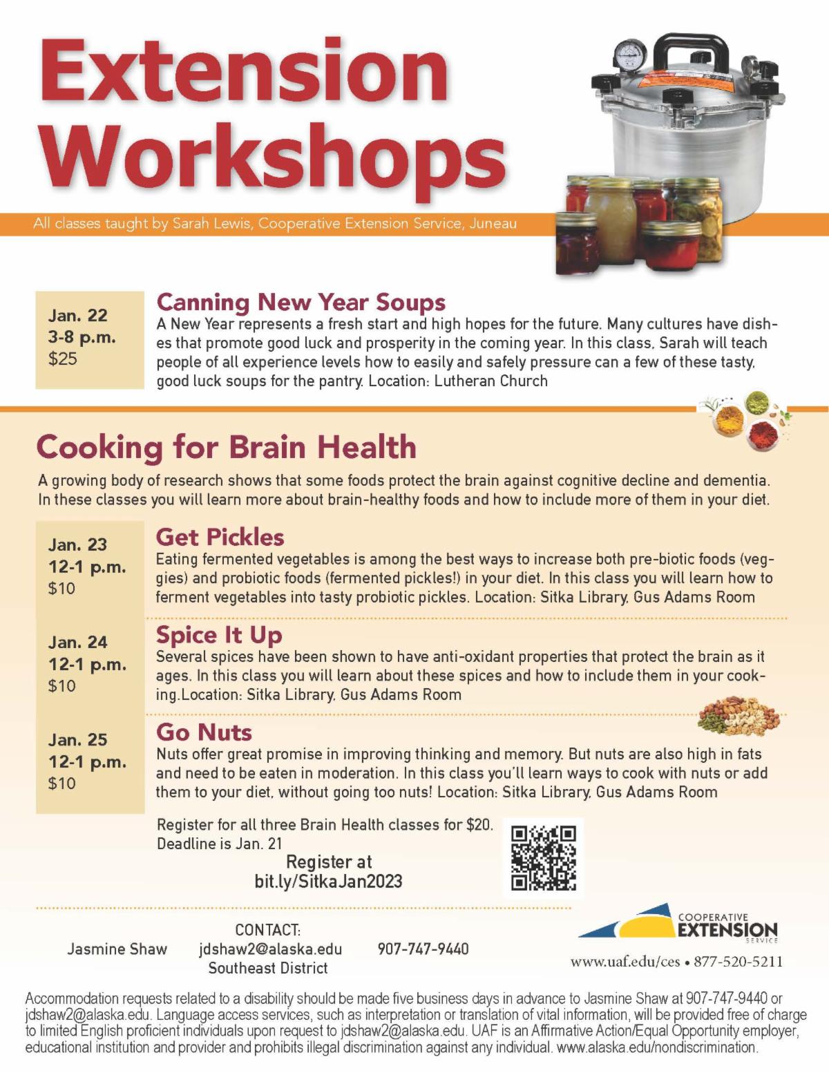 Extension workshop flyer