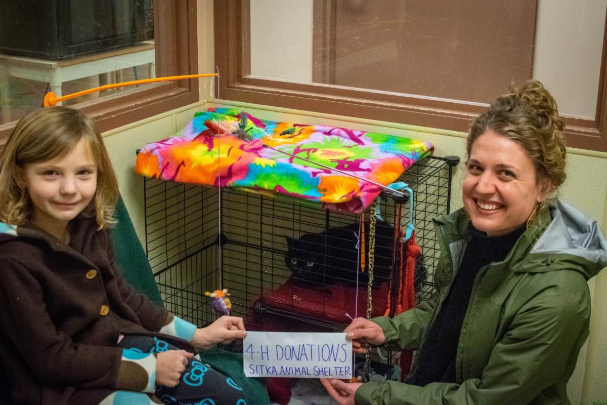 See caption below image for description