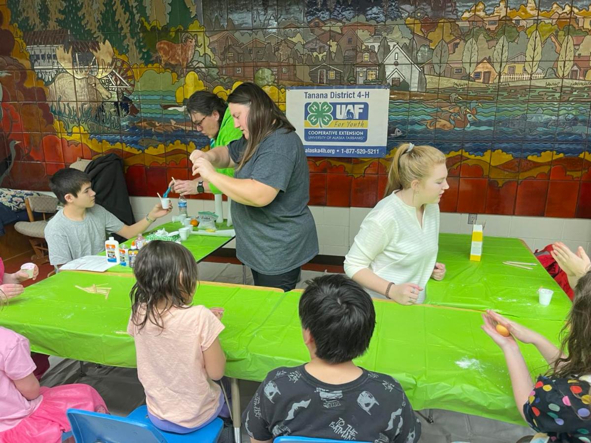 Tanana district 4-h event