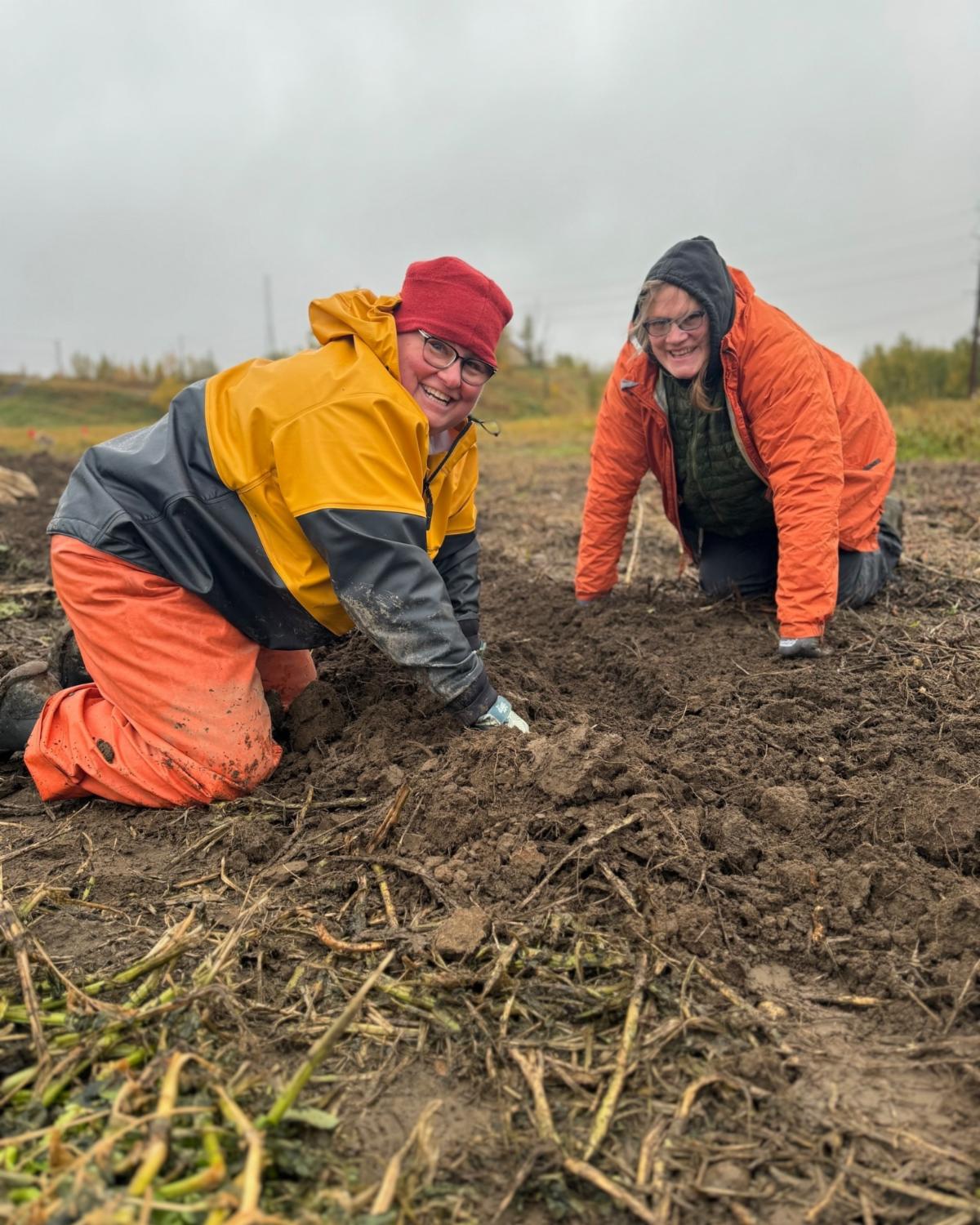 See caption below image for description