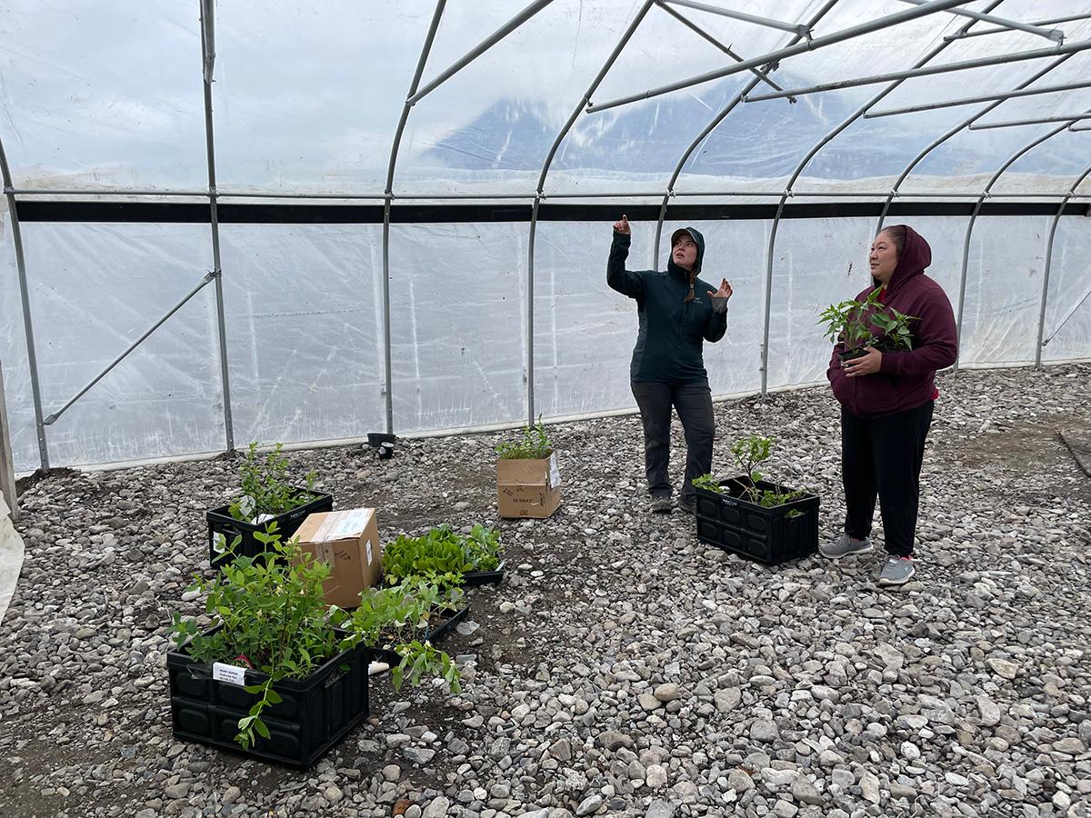 See caption below image for description