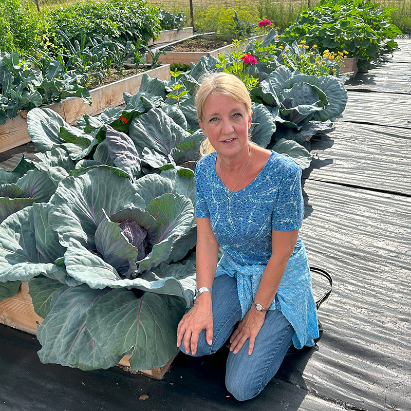 See caption below image for description