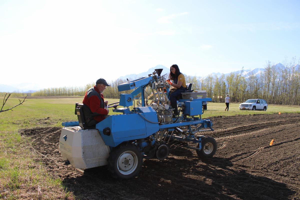 See caption below image for description