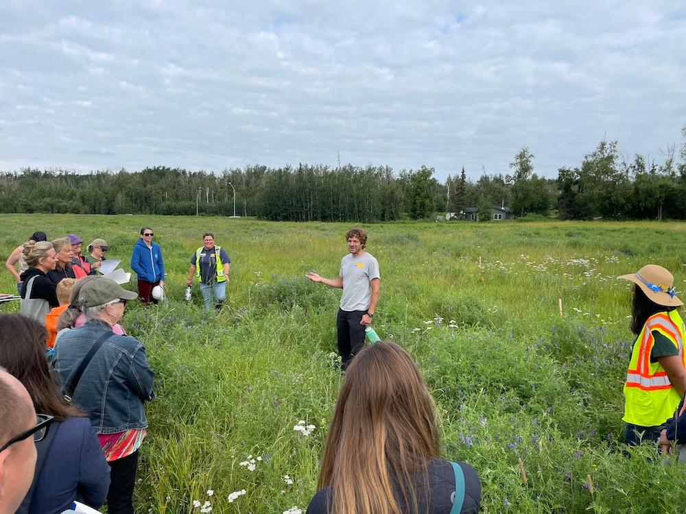People in vibrant green field