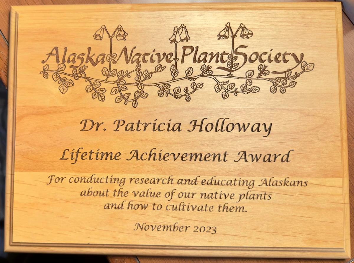 Lifetime Achievement Award