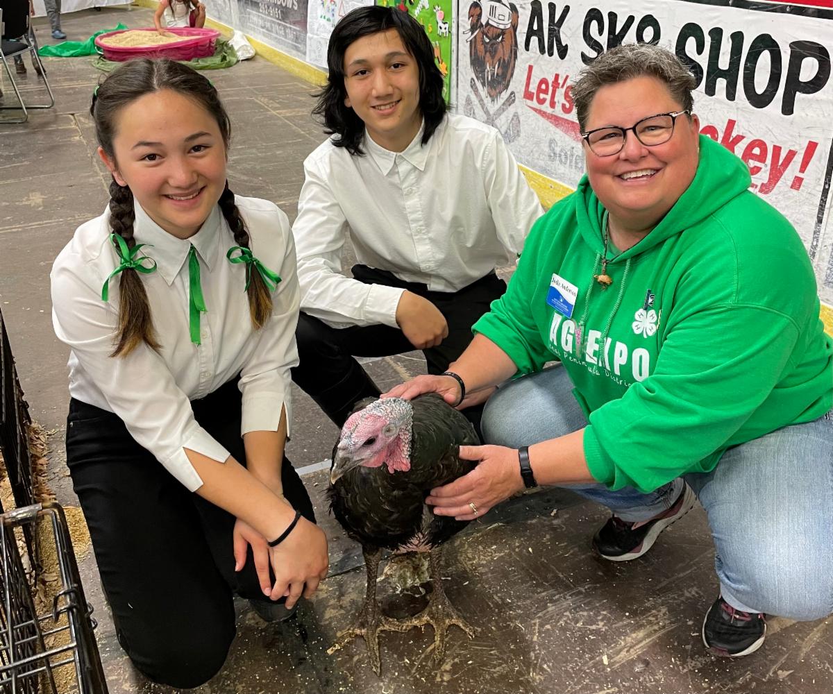 See caption below image for description