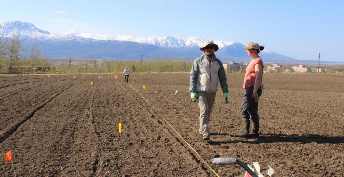 See caption below image for description