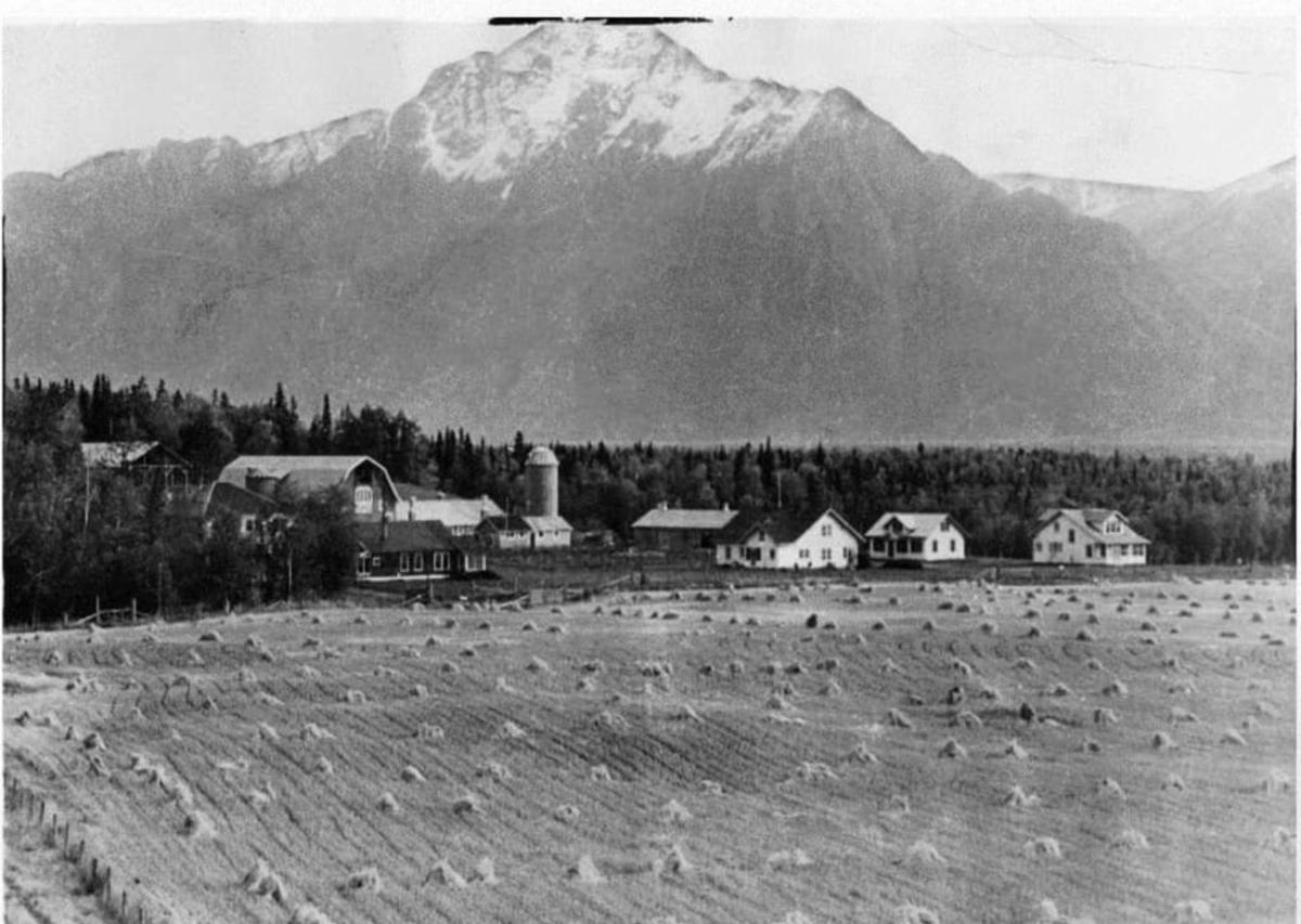 Buildings on a field beneath a view of the mountains